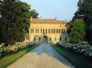 image7 Case Riglio