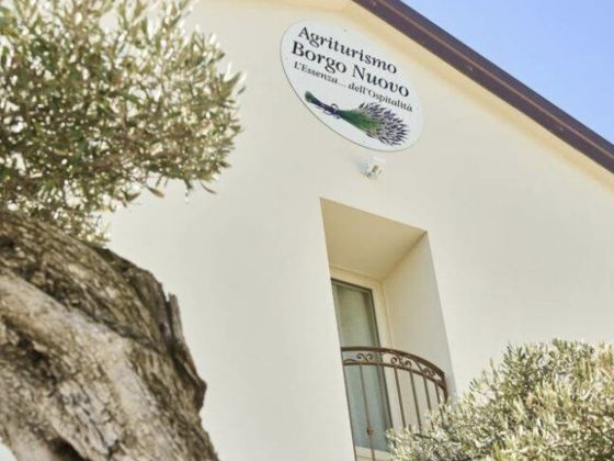 Borgonuovo - foto 7