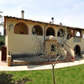 Mannaioni