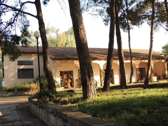 Agrifoglio - foto 7