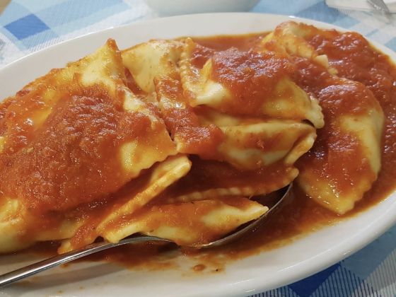 Agrifoglio - foto 4