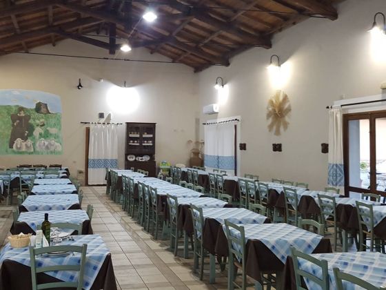 Agrifoglio - foto 3
