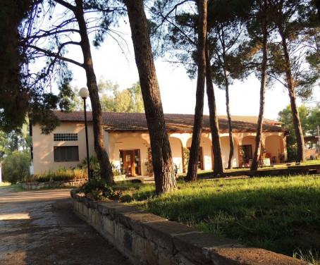 Agrifoglio