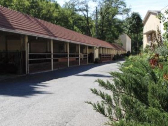 La Viscontina - foto 7