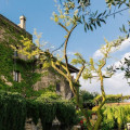 Torre Cangiani