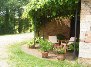 image5 Vigliano