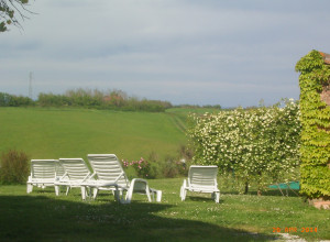 image7 Vigliano