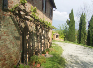 image3 Vigliano