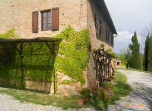 image20 Vigliano