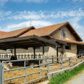 Lavagè