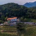 Polisena