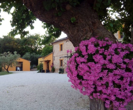 Foto Farm-house Il Vecchio Scornabecco - Ancona