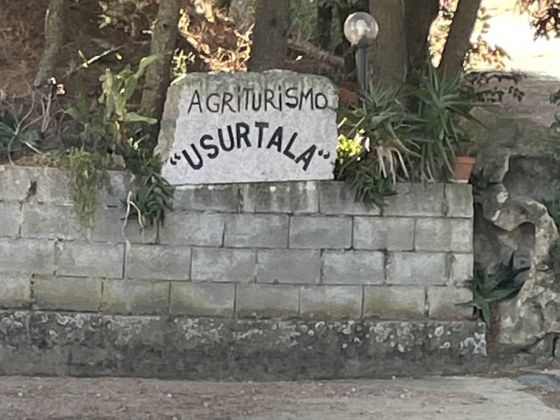 Usurtala - foto 3