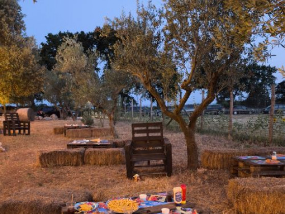 Supramurgia Agribistrot foto esterno 16