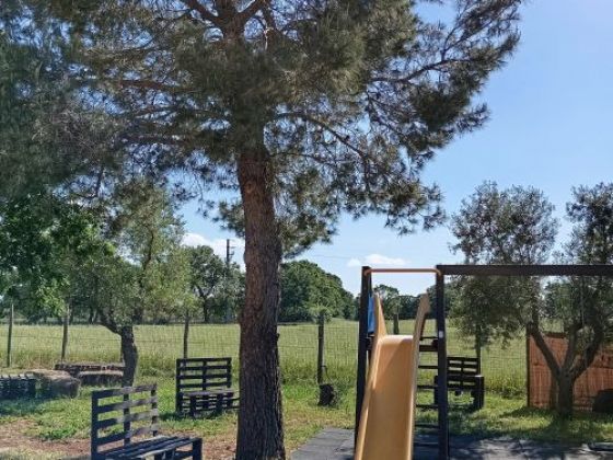 Supramurgia Agribistrot foto esterno 10