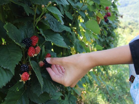 Al Marnich foto produzione 5