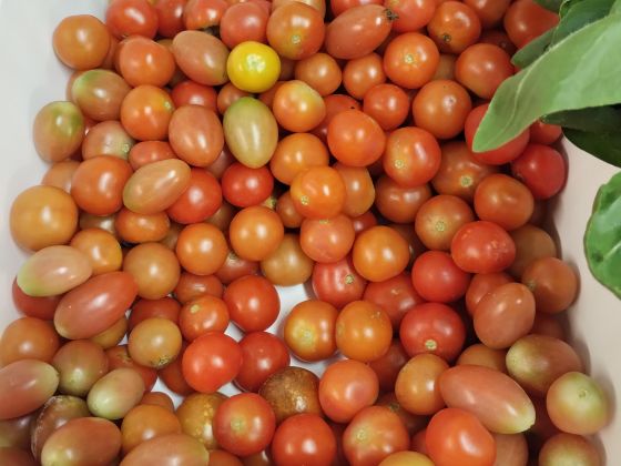 Al Marnich foto produzione 13