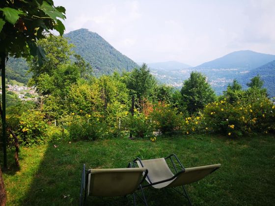 Al Marnich - foto 38