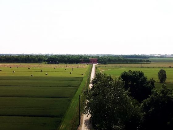 Fondo Gioconda foto esterno 20