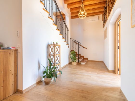 Fondo Gioconda foto particolare 26