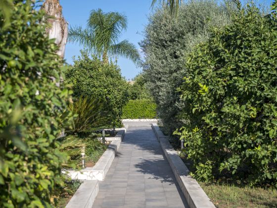 TERRA DEI LIMONI - foto 20