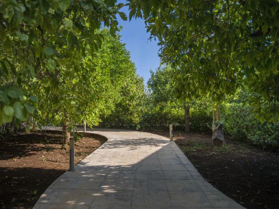 TERRA DEI LIMONI - foto 18