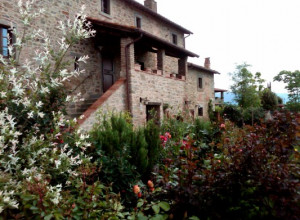 image26 La Mucchia