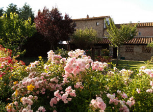 image25 La Mucchia