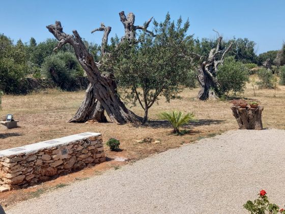Tenuta Arbanoa - foto 2