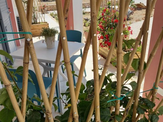 Tenuta Arbanoa - foto 4