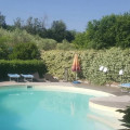 La Pecora Nera