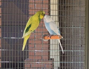 Fattoria didattica - Fornace Certosa