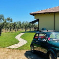 Il Podere