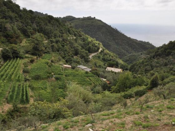 Costa Di Campo - foto 10