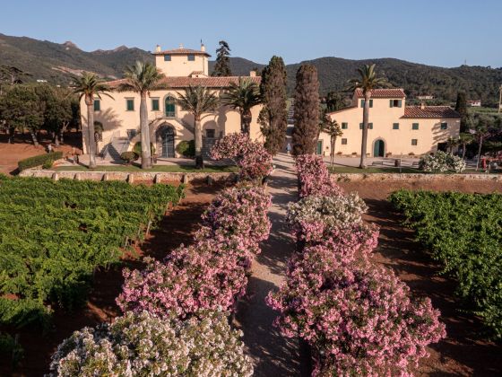 Tenuta La Chiusa - foto 6