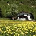 Sulla Via Del Sale