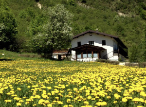 Sulla Via del Sale - Lernbauernhöfe