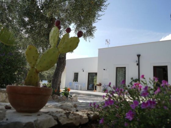 Tenuta Santa Maria  - foto 1