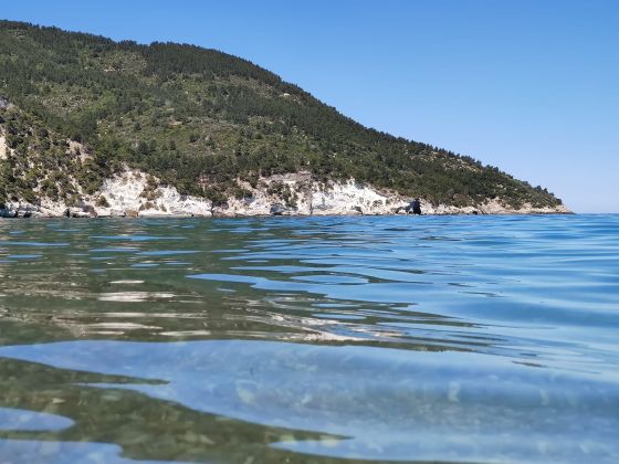 Tenuta Santa Maria  - foto 14