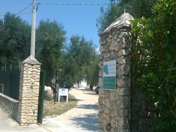 Tenuta Santa Maria  - foto 5