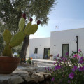 Tenuta Santa Maria 