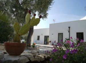 Tenuta Santa Maria 