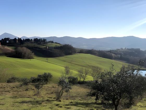 Il Sarale Sheetz - foto 6
