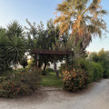 Agricantus 2000