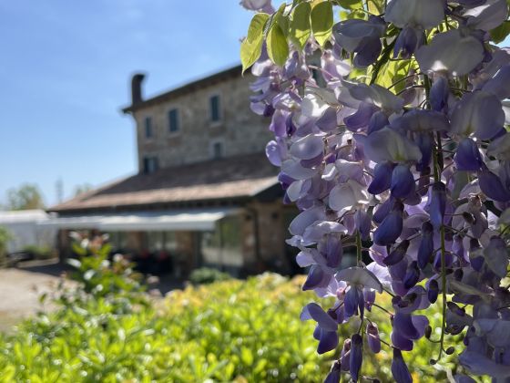 Antiche Mura - foto 19