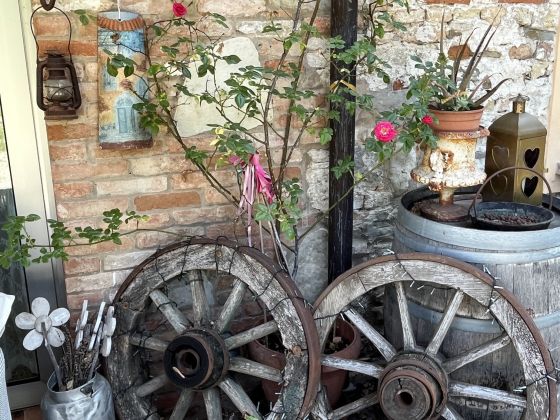 Antiche Mura - foto 5