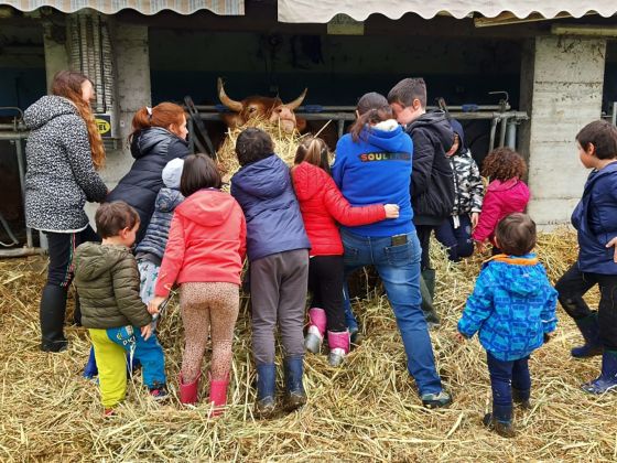 Mangià Ad Campagna - foto 16