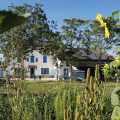 Mangià Ad Campagna