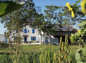 Mangià Ad Campagna - Lernbauernhöfe