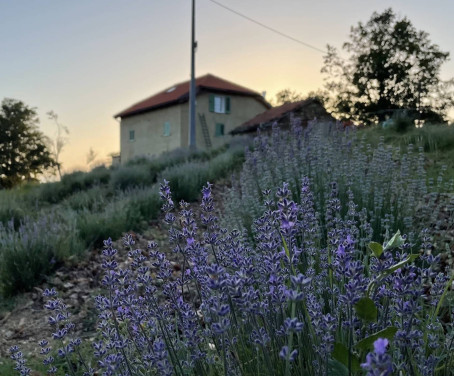 Farm-house Cascina Cornelli – Ristorante E Camere - Savona